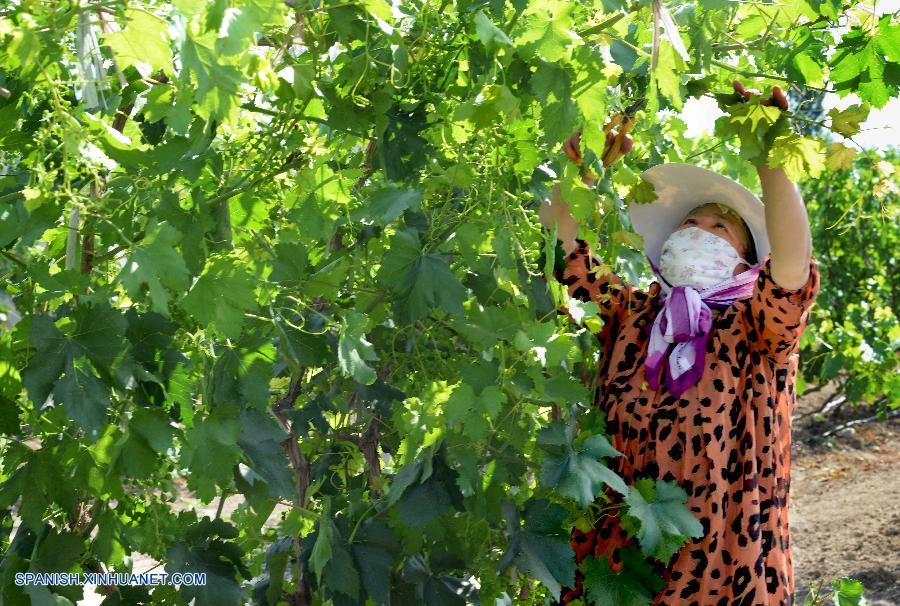 China: Vida cotidiana de condado Yining de Xinjiang 