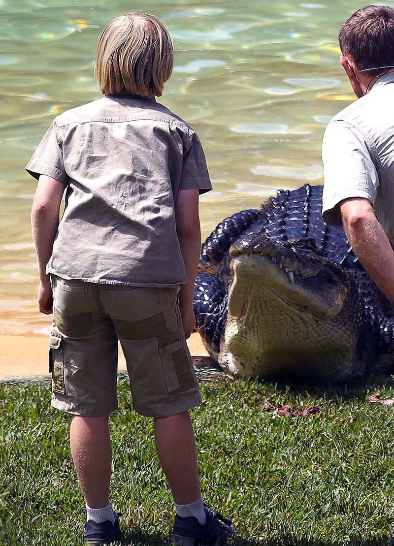 Un ni?o australiano de 10 a?os se enfrenta con un cocodrilo