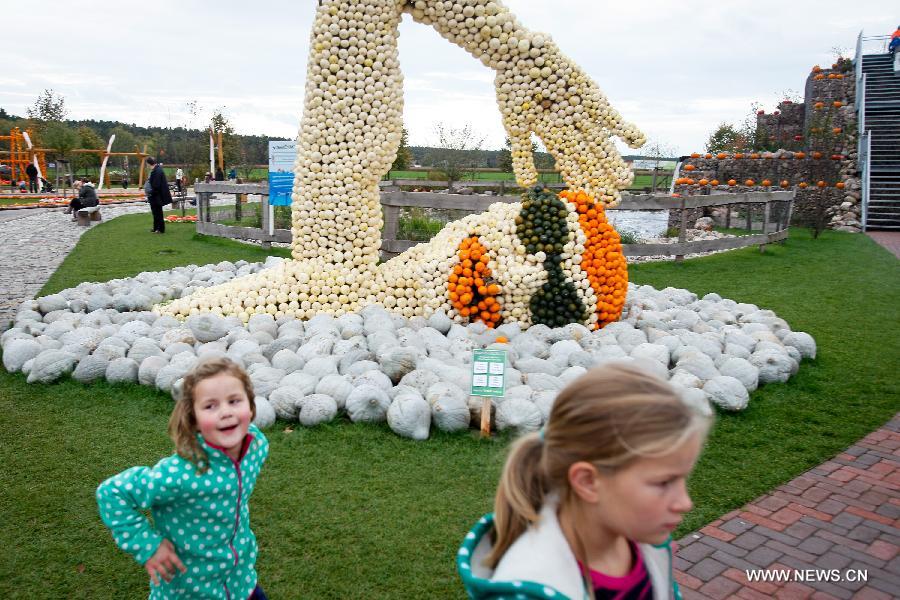 Exhibición anual de calabazas en Alemania