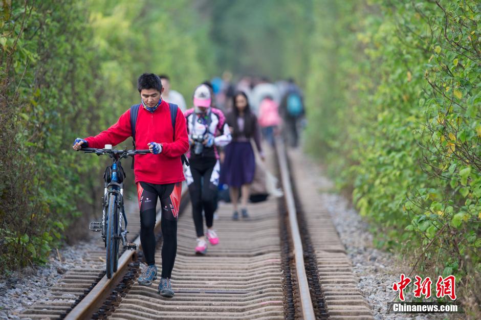 El "túnel del amor" de Nanjing