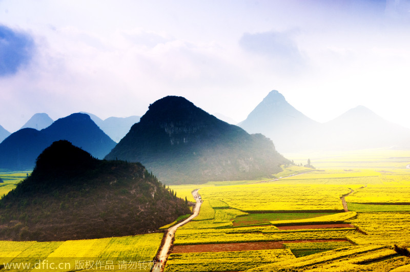 La?manta?de?flores?de la cuenca de Luoping, en?Yunnan,?ha sido destacado por CNN?entre los?15?paisajes más?coloridos del mundo. [Foto:IC]