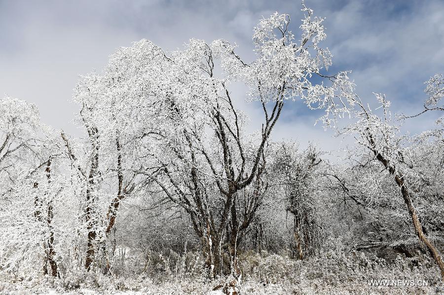 Primera nevada de Sichuan en 2015