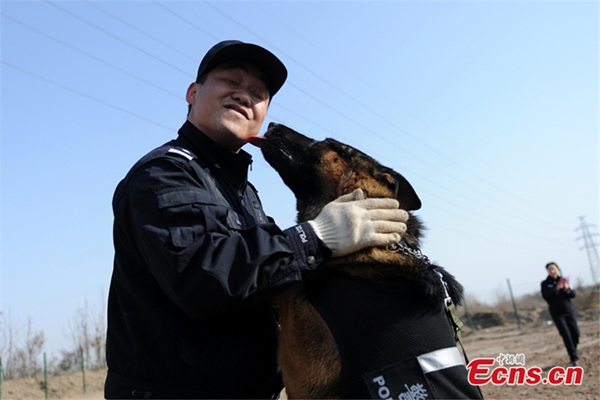 Perros policía se preparan para el éxodo de a?o nuevo chino