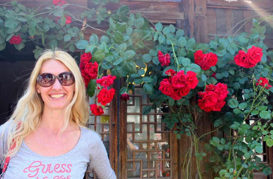 Una turista extranjera posa para una foto delante de rosas chinas en Suzhou, provincia Jiangsu, el 5 de mayo de 2015. La floración de las rosas a lo largo del camino Pingjiang, una antigua calle de la ciudad, han atraído a muchos turistas. [Foto por Wang Jiankang / Asianewsphoto]