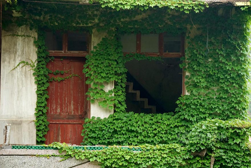 Pueblo abandonado es abrazado por la naturaleza