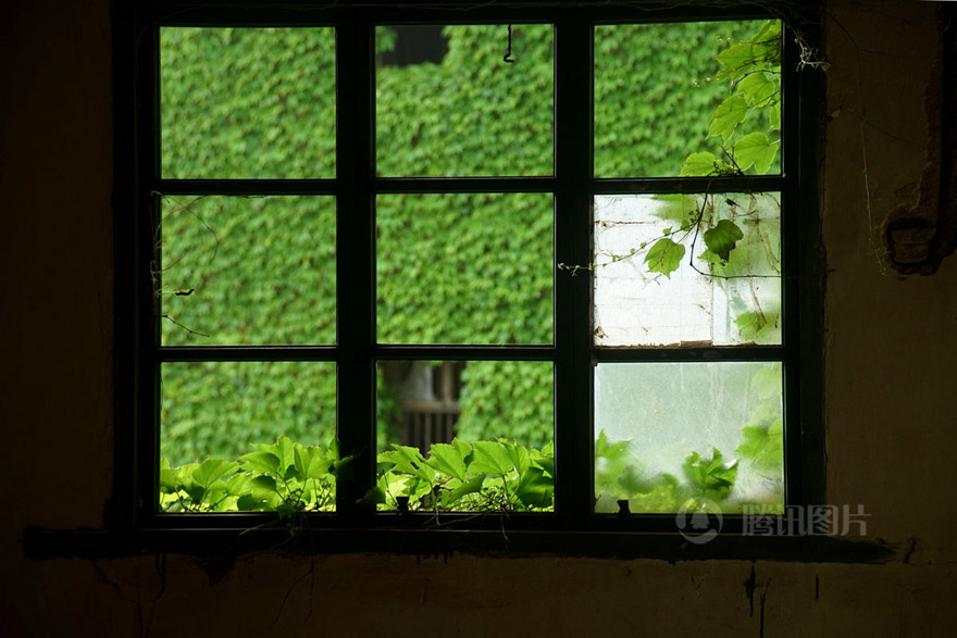 Pueblo abandonado es abrazado por la naturaleza