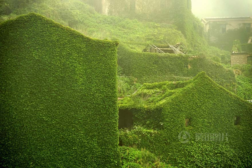 Pueblo abandonado es abrazado por la naturaleza