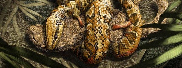 Descubren una serpiente prehistórica con patas