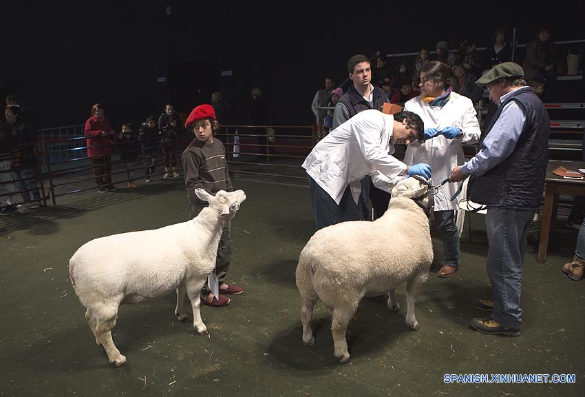 China, principal destino de exportaciones argentinas de carne