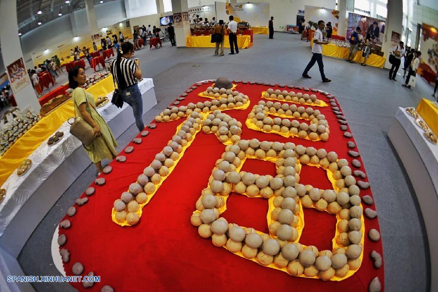 Establecen en Beijing centro internacional de investigación de la patata