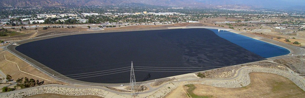 Los ángeles:Lanzan millones de pelotas para conservar el agua en los pantanos