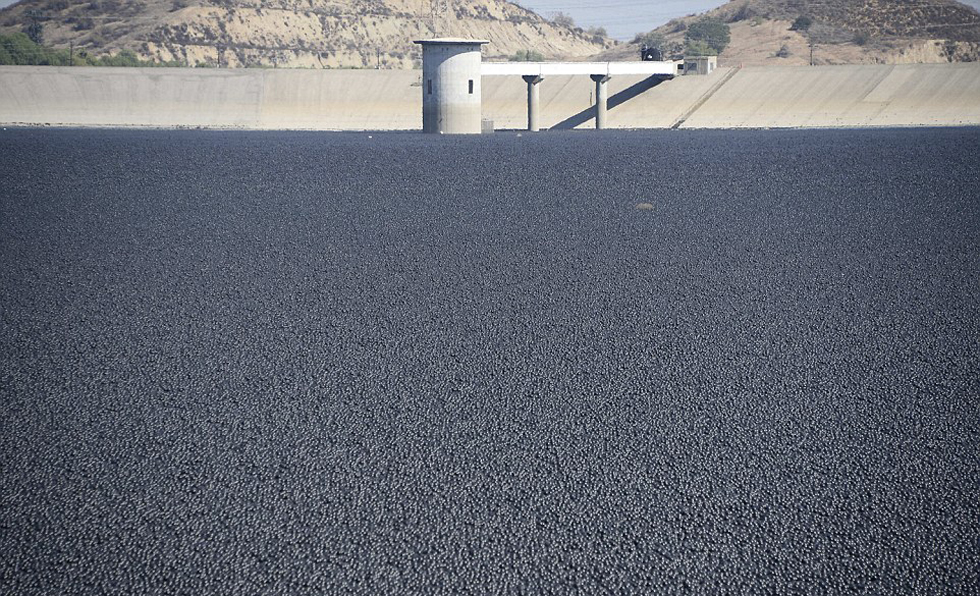 Los ángeles:Lanzan millones de pelotas para conservar el agua en los pantanos