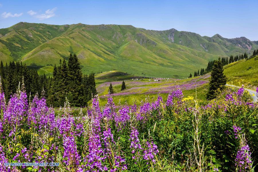 Xinjiang de Hoy (2)