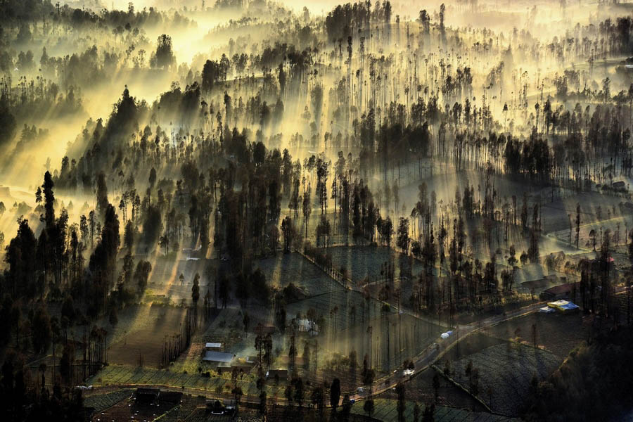 Obras ganadoras del Concurso de la Fotografía de National Geographic 2015