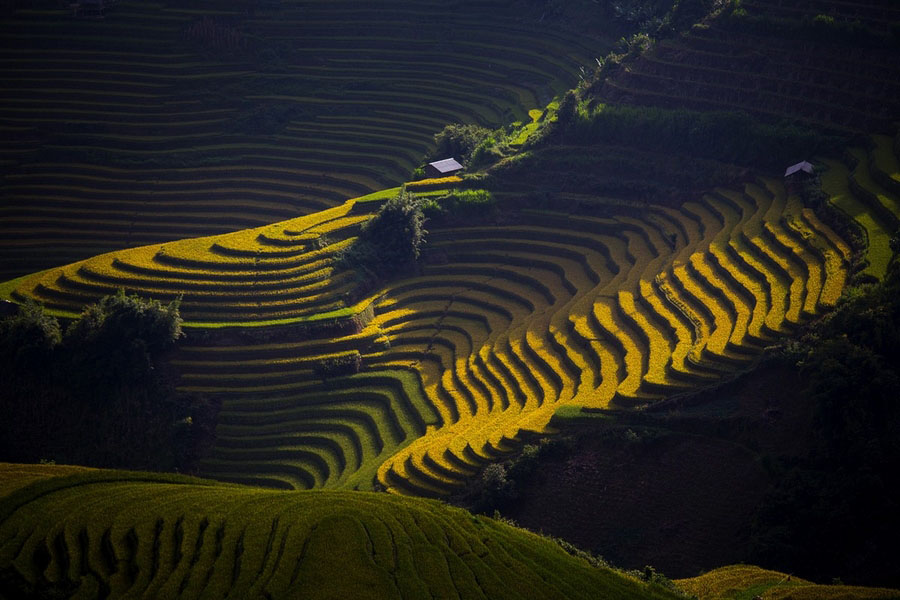 Obras ganadoras del Concurso de la Fotografía de National Geographic 2015