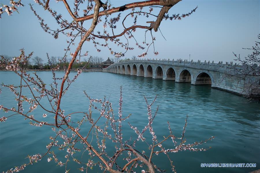 Las flores de primavera en China