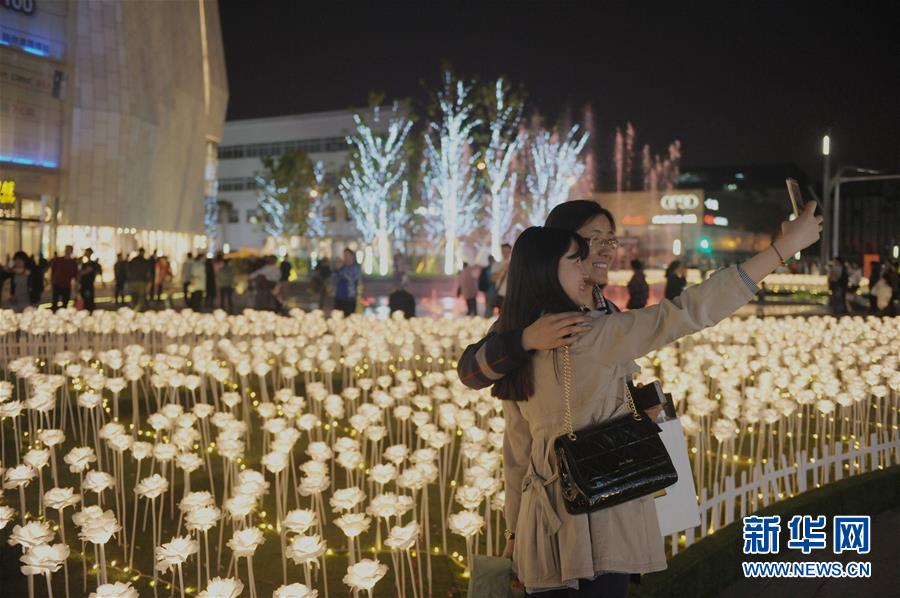 Rosas luminosas marcan la floración de Chengdu