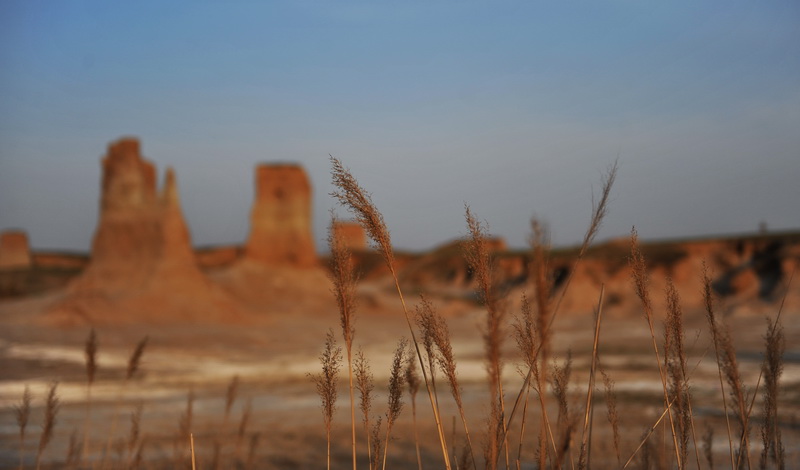 Maravilloso paisaje del bosque de la tierra en Datong