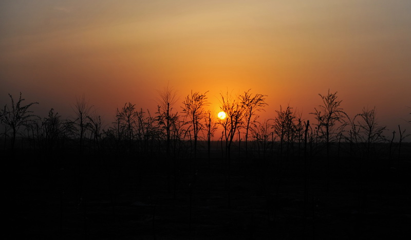 Maravilloso paisaje del bosque de la tierra en Datong