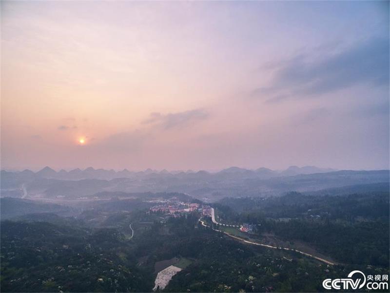 Un mar de azaleas en la provincia de Guizhou