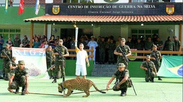 Matan a tiros al jaguar que acompa?aba a la antorcha olímpica en Brasil