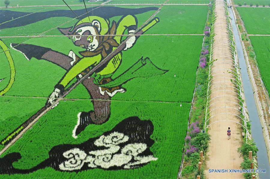 Dibujos animados en un parque industrial agrícola de China