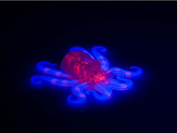 Crean Octobot, el revolucionario robot blando y barato