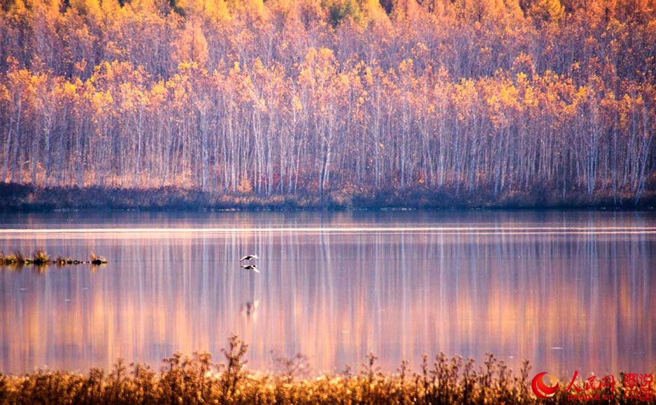 Impresionante paisaje de oto?o del Gran Khingan