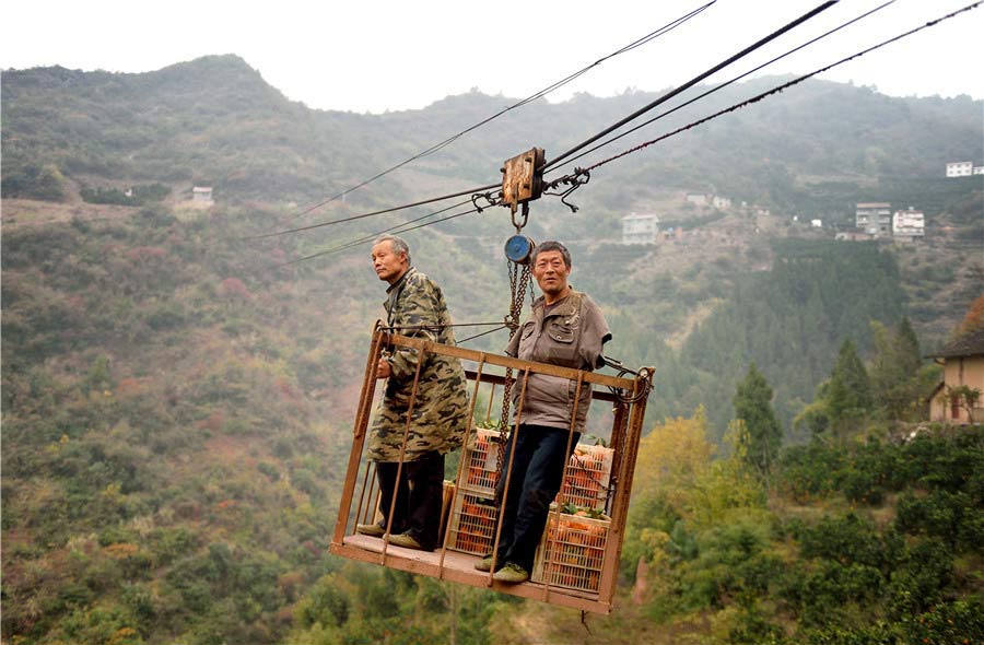 Hu Xueping y Hu Xueman trasportan las naranjas en el teleférico. [Foto de Liu Shusong / para chinadaily.com.cn]