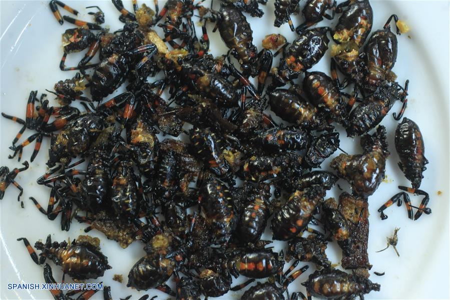 Imagen del 31 de marzo de 2017, de insectos servidos para comerse en un restaurante en el Mercado de San Juan en la Ciudad de México, capital de México. De acuerdo con información de la prensa local, en el Mercado de San Juan, ubicado en el centro de la Ciudad de México, se sirven platillos preparados con tarántulas, escorpiones y más insectos. Los insectos, ricos en proteínas, formaban una parte importante de la dieta de los pobladores prehispánicos de México. (Xinhua/Str)