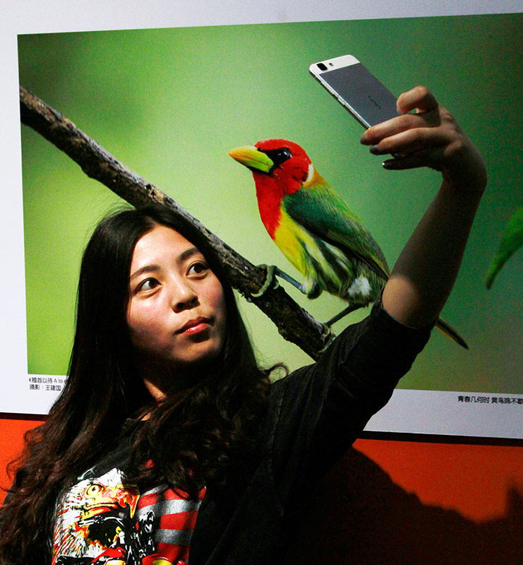 El libro "Aves silvestres del Ecuador", del fotógrafo Wang Jianguo, presenta a los lectores chinos la gran biodiversidad aviar del fascinante país latinoamericano. (Foto: YAC)