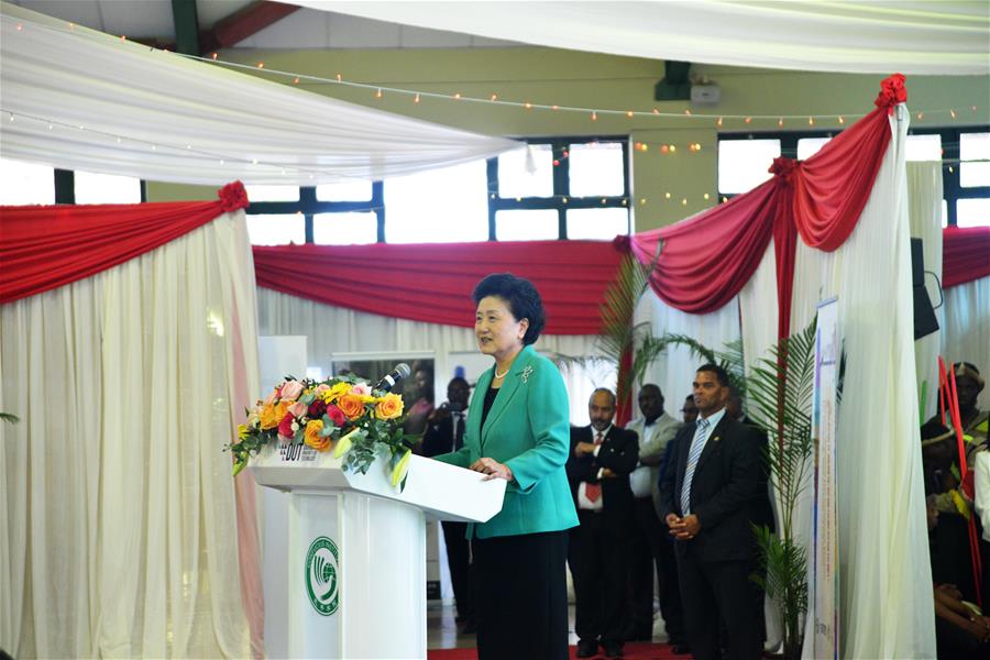 Instituto Confucio es un "puente de arcoiris" que conecta corazones: Liu Yandong