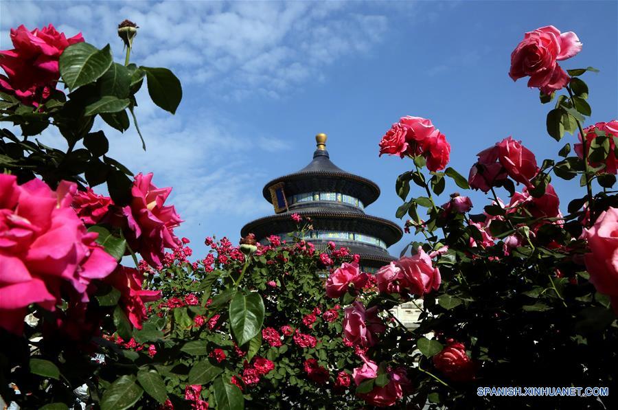 El Templo del Cielo en Beijing