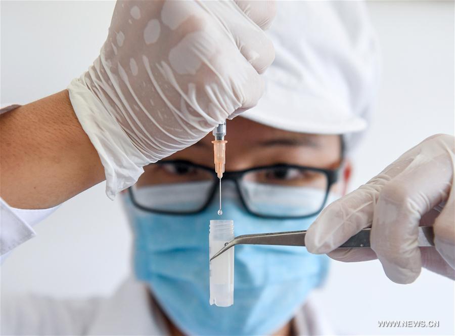 Un laboratorista de una compa?ía de medicina biológica extrae el veneno de una ara?a en Nansheng, Wuzhishan, provincia de Hainan, 22 de mayo del 2017. [Foto: Xinhua]