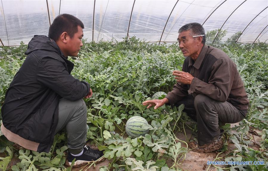 Agricultor se hace rico por plantar sandía en invernaderos