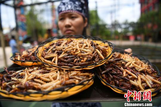 Se celebra competición de comer insectos en Yunnan