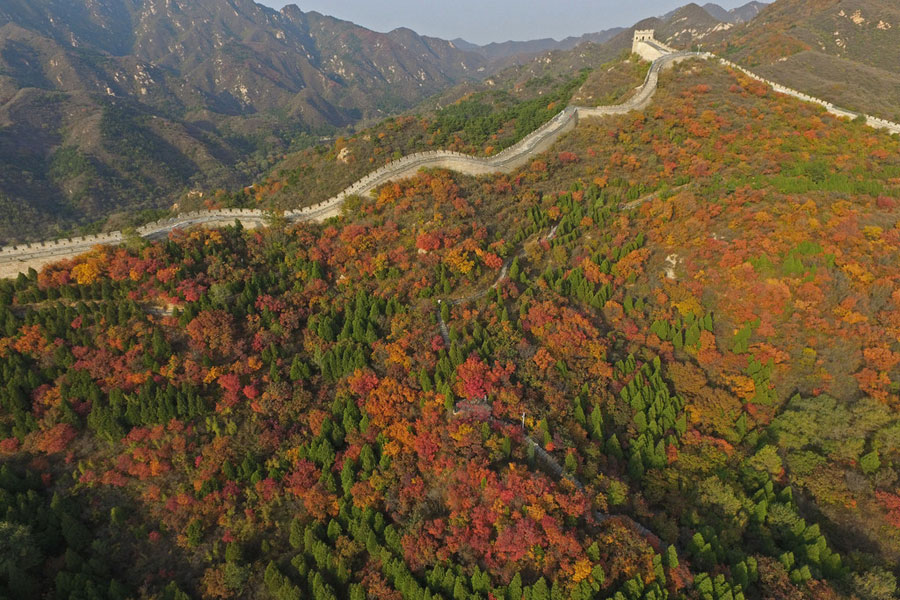 La Gran Muralla de Badaling se colorea de oto?o