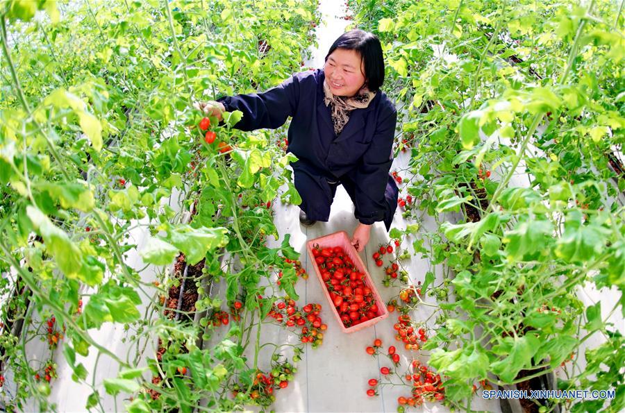 China adopta revisión a Ley de Cooperativas Especializadas de Agricultores