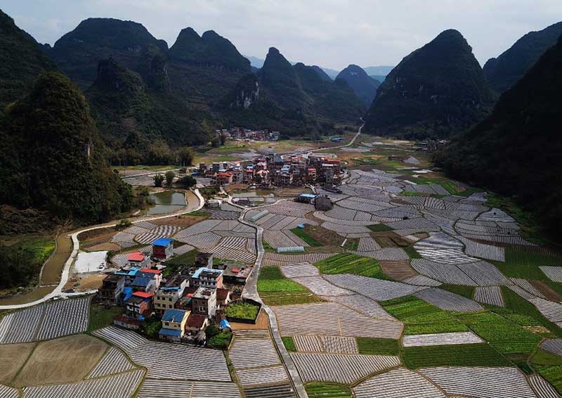 Tierras agrícolas en la aldea de Bantuan, municipio autónomo de la etnia Mulao, provincia de Guangxi, el 4 de marzo de 2018.(Fuente: Meng Zengshi/Renmin Shijue)