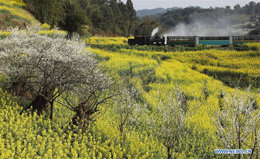 Una clásica locomotora a vapor atrae turistas en Sichuan