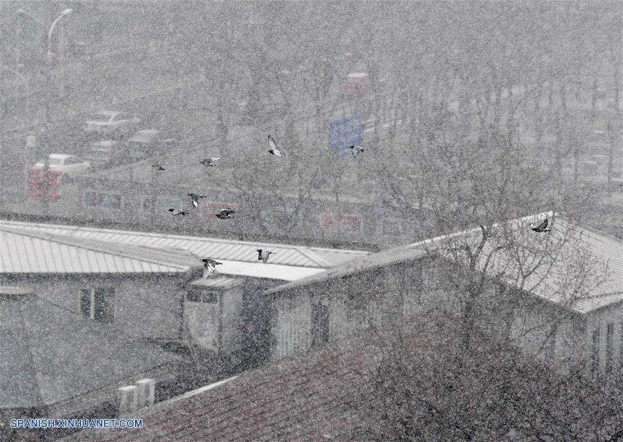 Nieve interrumpe período de sequía más prolongado de Beijing en décadas