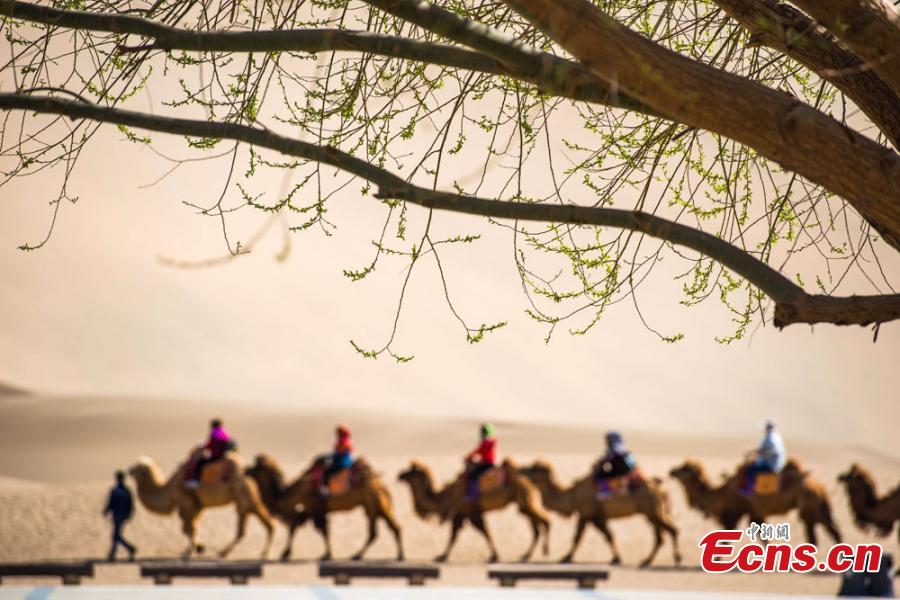 Los turistas visitan las monta?as arenosas cantantes de Dunhuang 