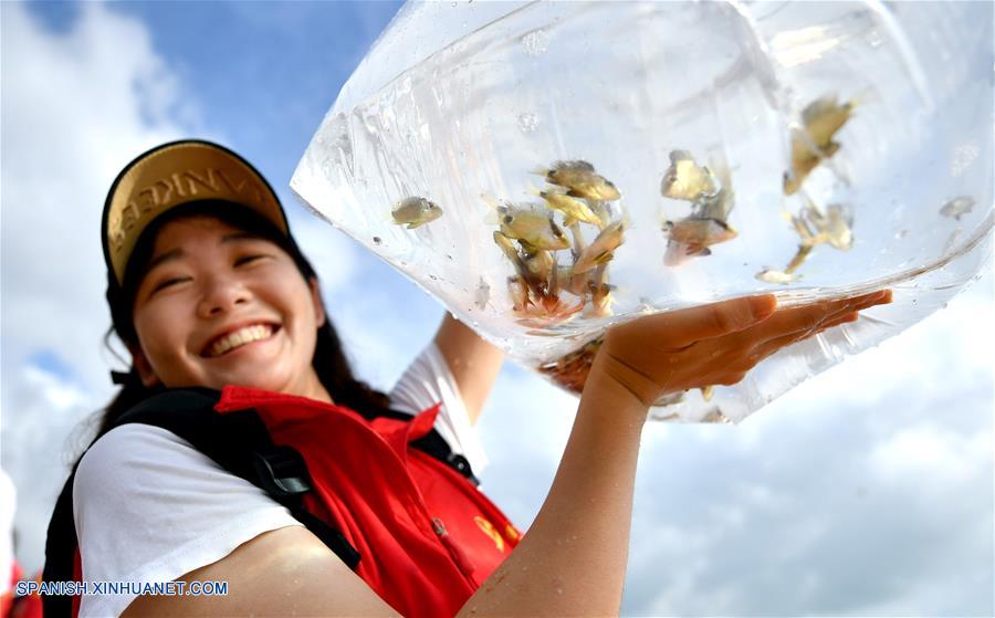 HAINAN, junio 8, 2018 (Xinhua) -- Una voluntaria muestra los alevines que serán liberados en el mar, en la ciudad de Haikou, capital de la provincia de Hainan, en el sur de China, el 8 de junio de 2018. Aproximadamente 100,000 alevines fueron liberados en el mar durante el día para recibir al Día Mundial de los Océanos. (Xinhua/Guo Cheng)