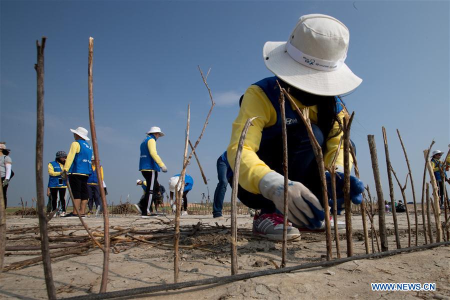 Voluntarios universitarios participan en una actividad de control de la desertización en Mongolia Interior