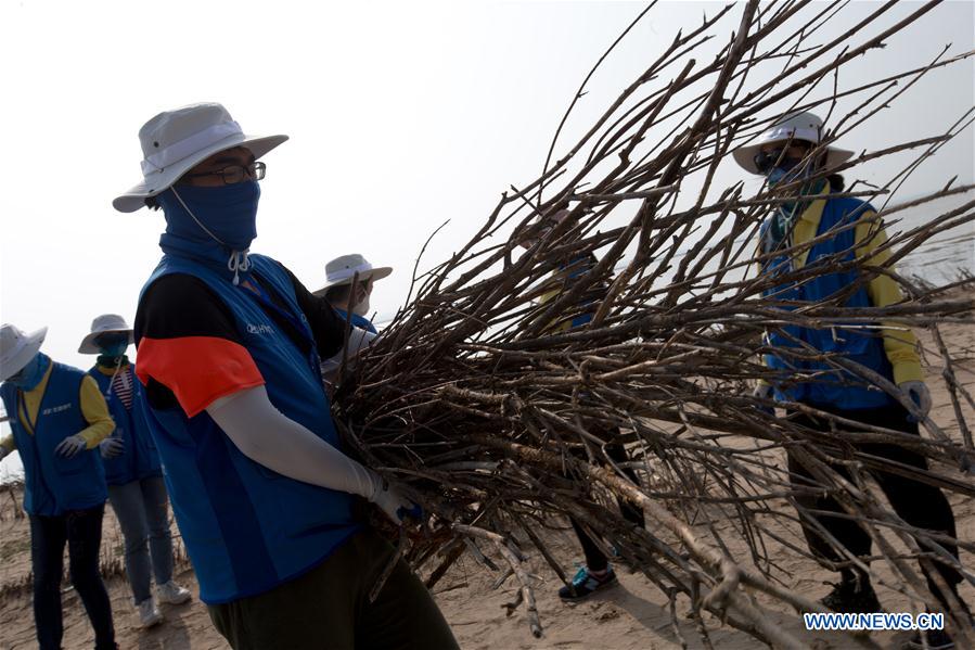 Voluntarios universitarios participan en una actividad de control de la desertización en Mongolia Interior