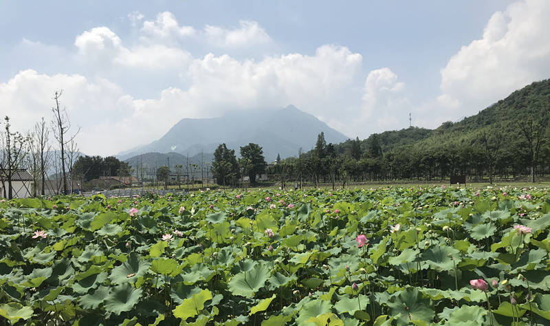 Aldea Yucun. [Foto: Kou Jie/ Diario del Pueblo]