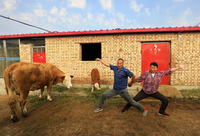 Zhang Zhihai (a la izquierda), 57 a?os, y su esposa Ge Luyun, de 62 a?os, son maestros del "Yoga de Yugouliang". [Foto: Zhu Xingxin/China Daily]