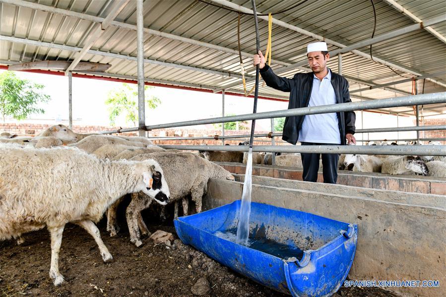 Desviación de agua del Río Amarillo en Ningxia