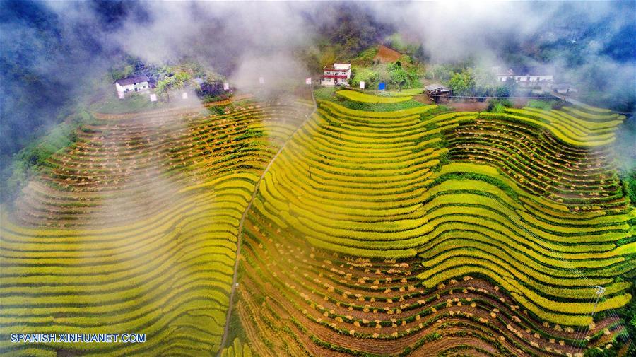 Shaanxi: Vista aérea de los campos de terraza