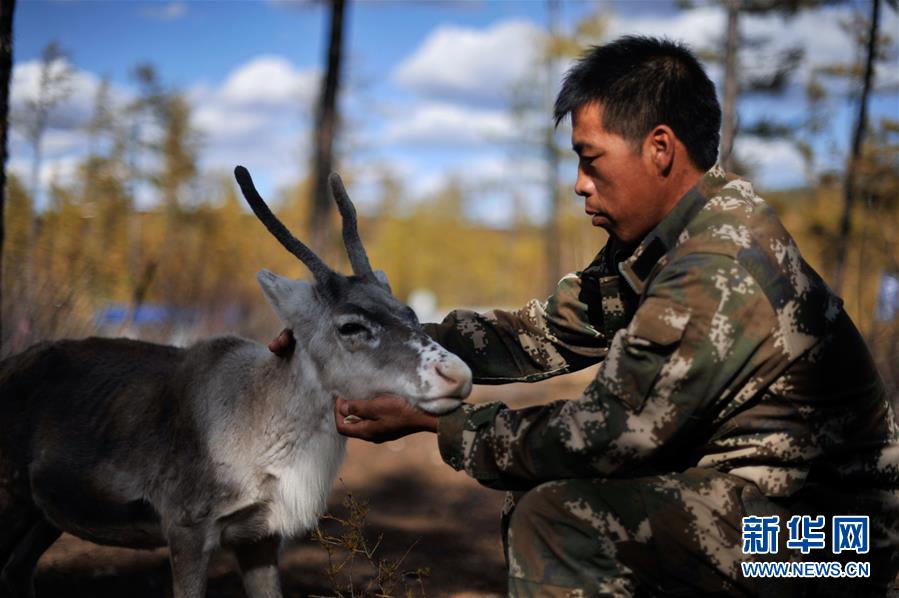 Guardianes de renos en lo más profundo de la cordillera Gran Khingan